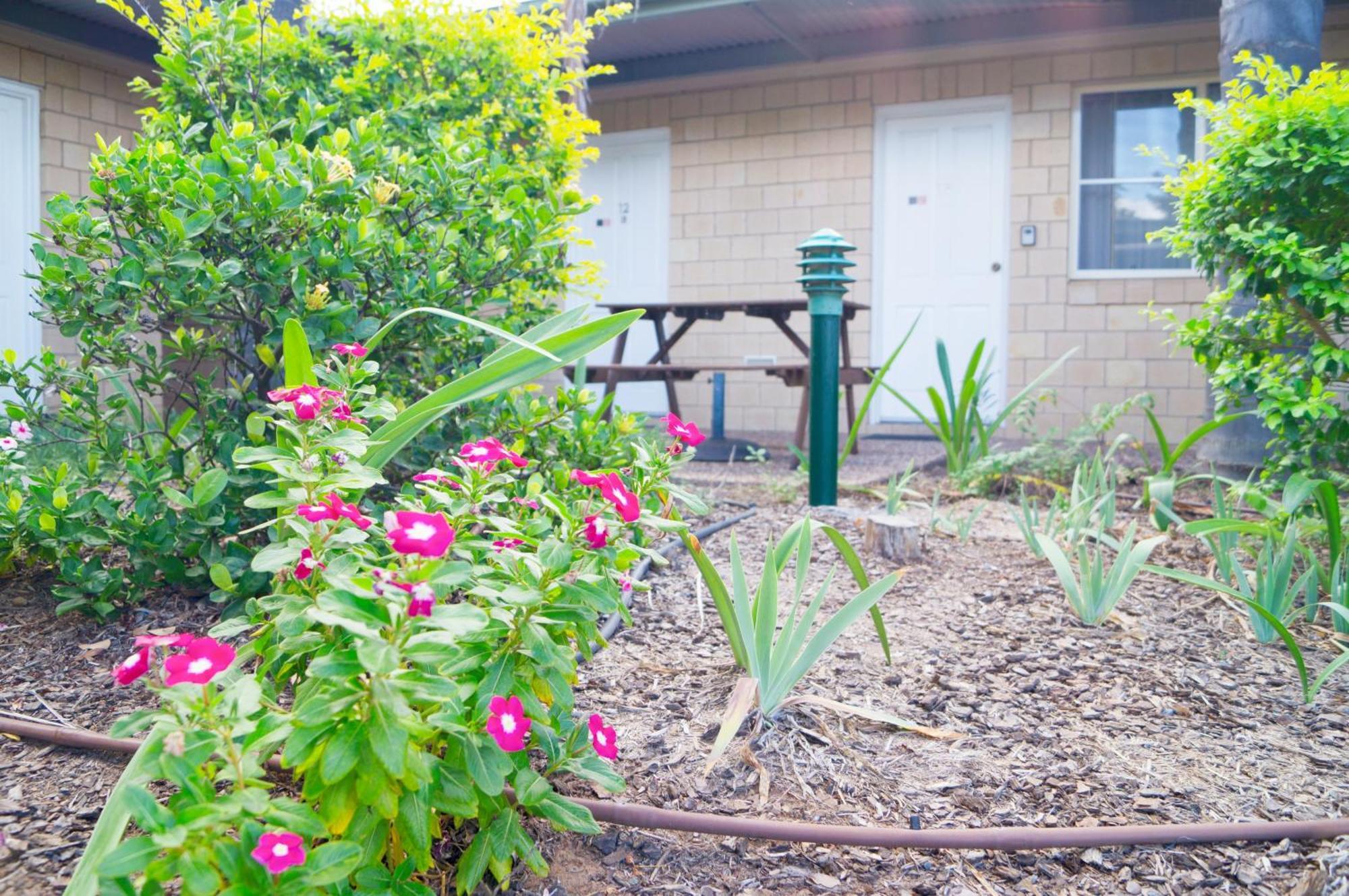 Jacaranda Country Motel Saint George Exterior photo